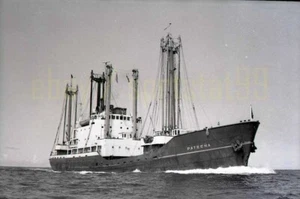MV PATEENA - Freighter / General Cargo Vessel - Vintage Ship Negative - Picture 1 of 2
