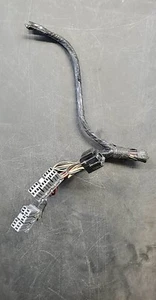 01-02 Crown Vic door module wiring connectors plugs 1W7T-13C791-AC - Picture 1 of 1