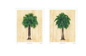 Caribe Palm I and II by Steve Butler Tropical Tree Prints Set of 2 9x11 in - Picture 1 of 3