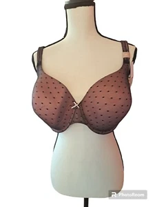 Cacique Bügel BH 46D Goddess Schwarz Spitze Neu UVP $ 50 Sexy - Bild 1 von 5