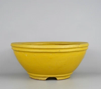 Maceta Bonsai Japonesa TOKONAME Firmada SHUHO Cinturones Esmaltados Amarillos Redondos φ9.8" *1529 Foto 1 de 4