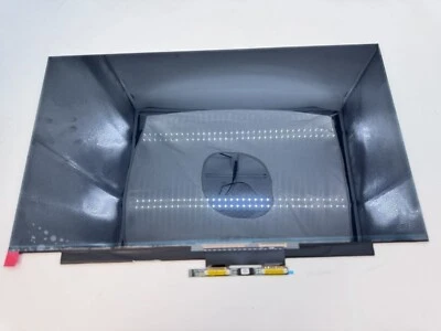 Acer Chromebook CB317-1H CB317-1HT LCD TOUCH Screen Display Panel KL.1730H.001 - Image 1 of 4