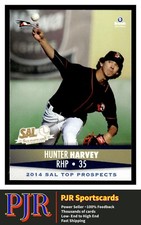 2014 Brandt South Atlantic League #13 Hunter Harvey Aberdeen IronBirds