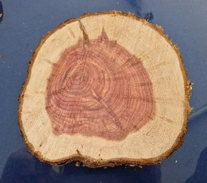 Baumscheibe Holzscheibe DIY DEKO Hochzeit Epoxidharz Basteln Holz Scheibe Brett - Bild 1 von 3