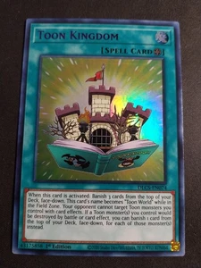 Yugioh Toon Kingdom DLCS-EN074 1st Edition Purple Ultra Rare NM card - Picture 1 of 2