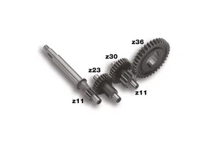 INGRANAGGI PRIMARI MALOSSI 677021 PER PIAGGIO BOSS BOXER BRAVO CIAO GRILLO SI - Imagen 1 de 1