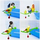 Stand With A Bell Bird Cage Toys Bite And Play Standing Pole Frame Parrot Toy