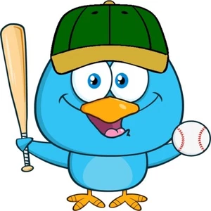 30 Custom Green Cap Blue Baseball Chick Personalized Address Labels - Picture 1 of 1