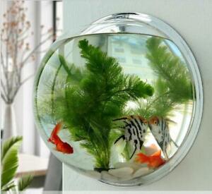 Wall Mounted Acrylic Fish Bowl Aquarium Pot Home Decor Hanging Tank Plant Fish