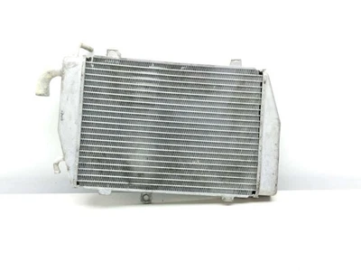 Radiador motor delantero derecho honda gl1800 goldwing 1800 12-17 19500-mca-a80 Foto 1 de 4