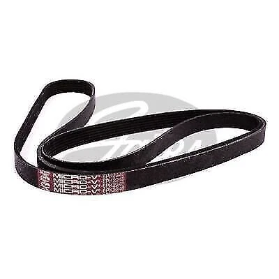 Gates 6PK2240 Drive Belt (Fan Belt) Micro-V Belt - Image 1 of 1