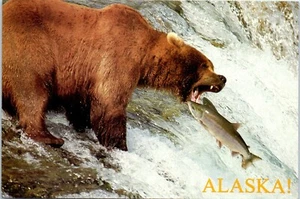 Gotcha! Alaskan Brown Bear Tries to Grab Two Fish for Dinner, Alaska Postcard - Picture 1 of 2