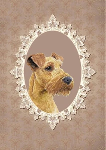 IRISH TERRIER HUND GRUSS NOTIZKARTE SCHÖNE KOPFSTUDIE - Bild 1 von 1