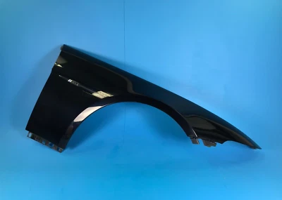 06-10 GUARDABARROS DELANTERO DERECHO BMW E63 E64 M6 NEGRO CARBÓN ❗NOTA❗ Foto 1 de 4