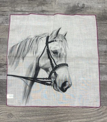 Pañuelo de caballo vintage raro 1965 - estampado A.Skandia Robinson & Golluber Foto 1 de 4