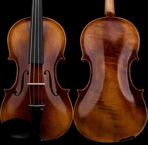 T30+ Pro Master Antiguo/Antiguo Estilo Guarnieri Violín 4/4 Madera Europea Power Sound - Imagen 1 de 17