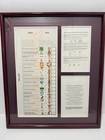 1994 South Africa Nelson Mandela Framed Ballot