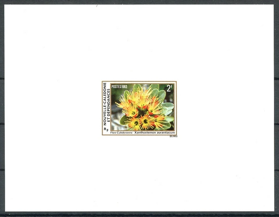Новая Caledonia Sc484 Флора, Растение, Xanthostemon Aurantiacum, Deluxe Proof - Изображение 1 из 1