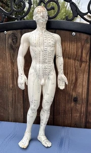 Muñeca modelo masculina acupuntura acupresión vintage notación china 18,5" de alto - Imagen 1 de 8