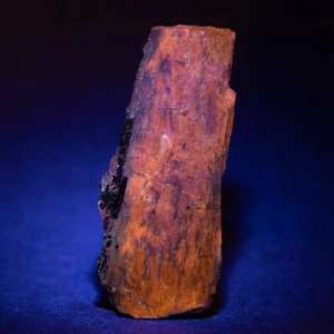Delhayelit Kristall UV LW. Leuchtstoffmineral 49x21mm / 1,9x0,8 Zoll Kola Russland - Bild 1 von 4