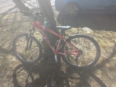 Mountain Bike - Image 1 of 2