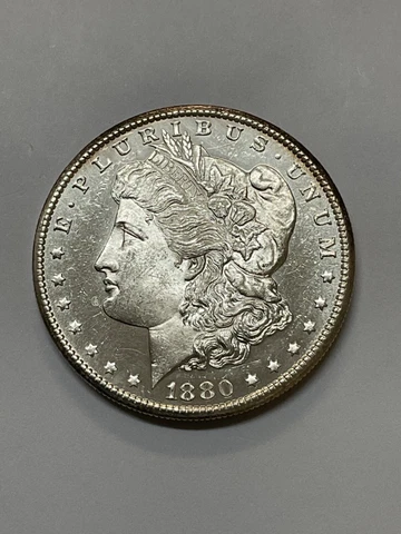1880 S MORGAN SILVER DOLLAR $1 PL Cover