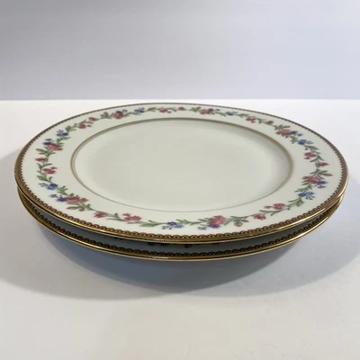 Обеденные тарелки Raynaud Limoges France Country Flowers 2 10 1/8 дюйма фарфоровый фарфор - Изображение 1 из 4