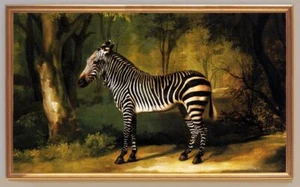 Zebra um 1763 Wald Hippotigris Afrika Streifenmuster George Stubbs A3 19 Gerahmt - Bild 1 von 1
