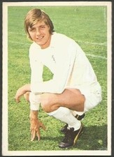 FKS 1974/75 WONDERFUL WORLD OF SOCCER STARS- #135-LEEDS UNITED-ALLAN CLARKE