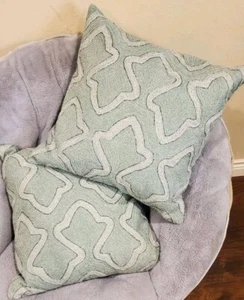 Pottery Barn Set 2 Throw Accent Pillows Down 20x20 Tectured Sage Green & Beaded - Picture 1 of 8
