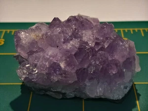 Schön! 2" x 2" Amethyst Cluster auf Geodenmatrix - Artigas, Norduruguay - Bild 1 von 9