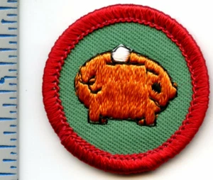 Vintage Pfadfinderabzeichen - Household Whiz - 1980-1991 - retired - Bild 1 von 2