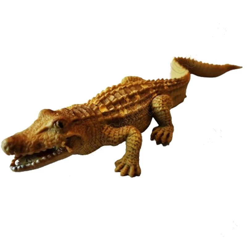 Geocaching 'Escondite Cache "insecto" - Cocodrilo Bosque Geocaché Especial - Imagen 1 de 1