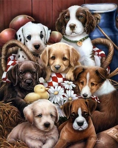 3D Linsenbild Welpengruppe Hundeköpfe & Ente Portrait Größe 39 x 29 cm - Bild 1 von 1
