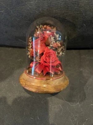 Roses Under Glass Dome      Kk12 - Image 1 of 3