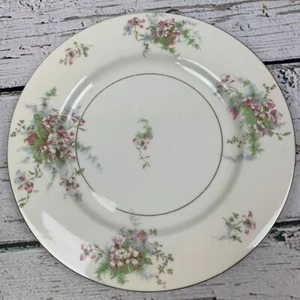 Theodore Haviland Apfelblütenmuster Speiseteller Floral China Made in USA - Bild 1 von 6