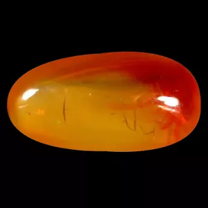 1.75 ct Fancy Cabochon Cut (11 x 5 mm) Unheated / Untreated Red Fire Opal - Picture 1 of 1