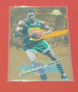 Tarjeta Skybox Dominque Wilkins 1995-96 - Boston Celtics - Imagen 1 de 1