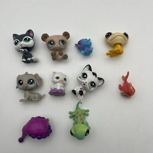 Littlest Pet Shop LPS Lote Nueva Generación Gen 6 Perros, Osos, Gatos, Conejitos - Imagen 1 de 10