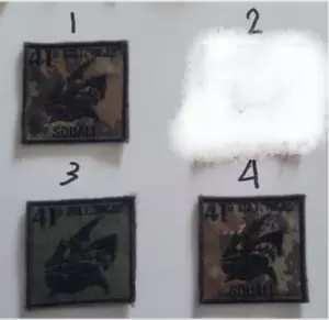PATCH TOPPA ALPINI 41°Battaglione Trasmissioni "Frejus" SQUALI ESERCITO ITALIANO - Imagen 1 de 2