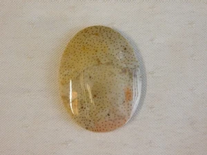 Fossil Palm Wood Cabochon - Picture 1 of 6