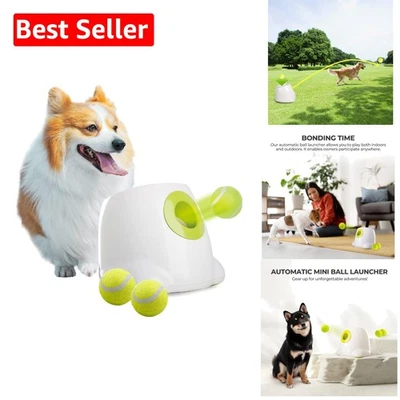 Interactive Dog Ball Launcher: Automatic Fetch Machine for Small Dogs - 2 Inch - Image 1 of 4