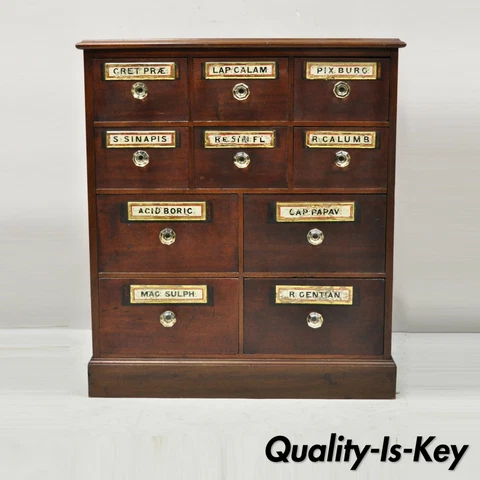 19th Century Mahogany Apothecary Medicine Cabinet w/ 10 Drawers and Glass Pulls Cover
