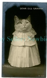 Gato/Gatito Mascota - QUERIDO VIEJO GATO VESTIDO ABUELA - RPPC Rotografía Postal - Imagen 1 de 2