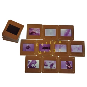 20+/Lot 1970s Scuba Diving Underwater 35mm Film Slide Divers Ocean Reef Sea - Picture 1 of 6