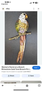 Damen Brosche Anstecknadel Papagei auf Ast Strass goldfarben - Bild 1 von 1