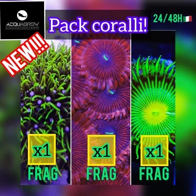 ✅NOVITÀ ! PACK 3 CORALLI acquario Marino! Coralli Molli Invertebrati Resistenti - Immagine 1 di 4