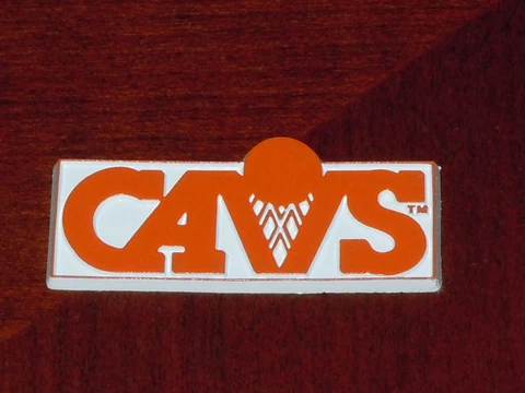 CLEVELAND CAVALIERS Vtg CAVS NBA RUBBER Basketball FRIDGE MAGNET Standings Board Cover