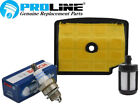 Proline® Tune Up Kit For Stihl 020 020T Ms200t Air Filter Wsr6f 1129 120 1602