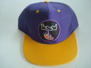 TOOL BAND 00S BEACH GOLF SNAPBACK HAT CAP VINTAGE S4 - Picture 1 of 5